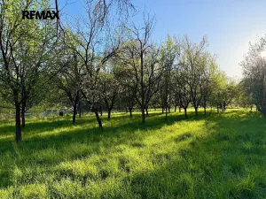 Prodej chaty, Moravany, 12 m2