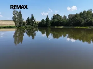 Prodej rybníku, Moravská Třebová, 94551 m2