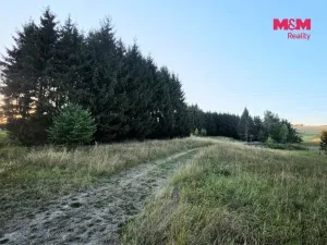 Prodej zahrady, Bělá nad Radbuzou, 6001 m2