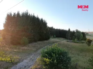 Prodej zahrady, Bělá nad Radbuzou, 6001 m2