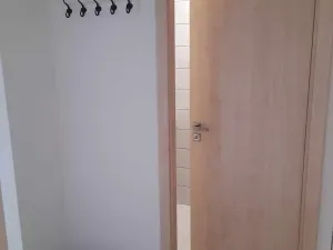 Pronájem bytu 1+1, Frýdek-Místek, K Hájku, 46 m2