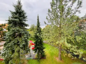 Pronájem bytu 1+1, Turnov, 40 m2