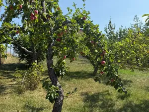 Prodej rodinného domu, Kostelany, 107 m2