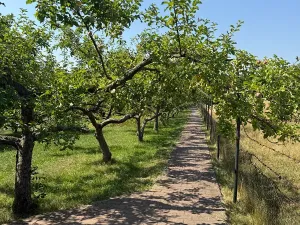 Prodej rodinného domu, Kostelany, 107 m2