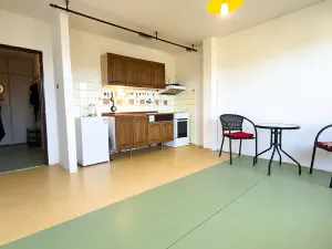 Prodej bytu 1+kk, Příbram, Školní, 25 m2