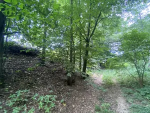 Prodej pozemku, Olbramice, 708 m2