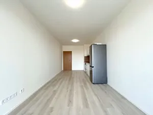 Pronájem bytu 1+kk, Brno, Dornych, 30 m2