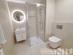 Pronájem bytu 1+kk, Plzeň, Těšínská, 36 m2