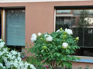 Prodej bytu 3+kk, Praha - Jinonice, Laténská, 113 m2