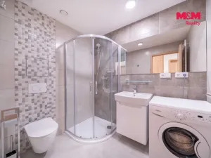Pronájem bytu 2+kk, Třemošná, Školní, 50 m2