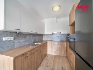 Pronájem bytu 2+kk, Třemošná, Školní, 50 m2