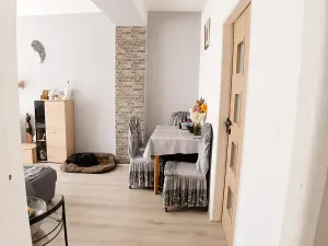 Prodej bytu 2+1, Kynšperk nad Ohří, náměstí SNP, 55 m2