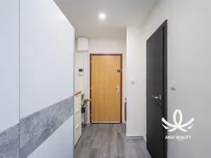 Pronájem bytu 2+kk, Mladá Boleslav, 17. listopadu, 44 m2