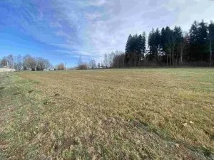 Prodej pole, Černá v Pošumaví - Bližná, 3624 m2