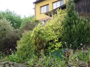 Prodej chaty, Nedvědice, 81 m2