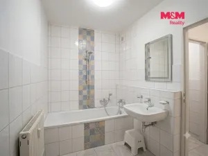 Prodej bytu 1+kk, Brandýs nad Labem-Stará Boleslav - Brandýs nad Labem, Kaštanová, 30 m2