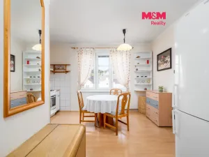 Prodej bytu 1+1, Děčín - Děčín IV-Podmokly, Příbramská, 45 m2