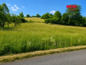 Prodej louky, Lužná, 4215 m2