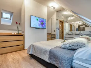 Pronájem bytu 2+kk, Praha - Vinohrady, Francouzská, 99 m2