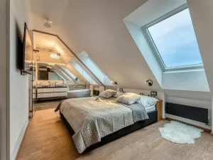 Pronájem bytu 2+kk, Praha - Vinohrady, Francouzská, 99 m2