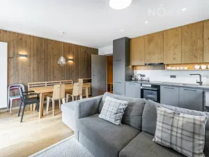 Prodej bytu 3+kk, Vítkovice, 68 m2