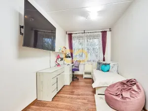 Prodej bytu 3+1, Týn nad Vltavou, Hlinecká, 68 m2