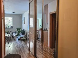 Pronájem bytu 1+kk, Český Těšín, Tovární, 40 m2