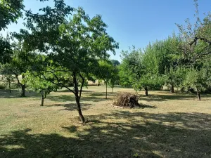 Prodej pozemku pro bydlení, Protivín, 1134 m2