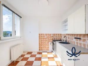 Prodej bytu 1+1, Mladá Boleslav, tř. Václava Klementa, 44 m2