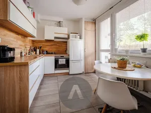 Prodej bytu 1+1, Brno, Horácké náměstí, 45 m2