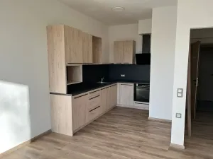 Pronájem bytu 1+kk, Slavkov u Brna, Nerudova, 39 m2