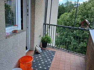 Pronájem bytu 3+1, Hradec Králové, Čajkovského, 83 m2