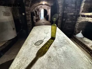 Prodej vinného sklepa, Novosedly, 49 m2
