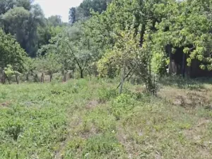 Prodej rodinného domu, Ivaň, 350 m2