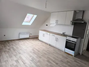 Prodej vícegeneračního domu, Běleč, Dukelská, 470 m2