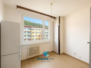 Pronájem bytu 2+1, Krupka, Karla Čapka, 62 m2