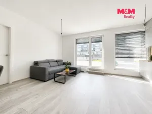 Pronájem bytu 4+kk, Praha, Nebřenická, 102 m2