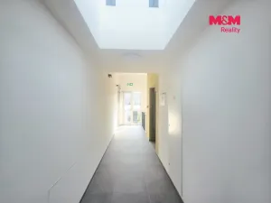 Pronájem bytu 4+kk, Praha, Nebřenická, 102 m2