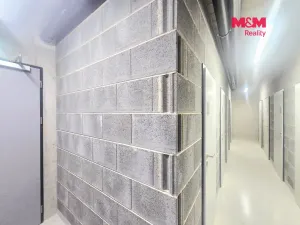 Pronájem bytu 4+kk, Praha, Nebřenická, 102 m2