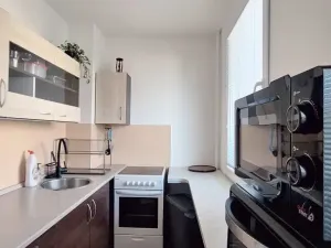 Pronájem bytu 1+kk, Hradec Králové - Pražské Předměstí, Hrubínova, 38 m2