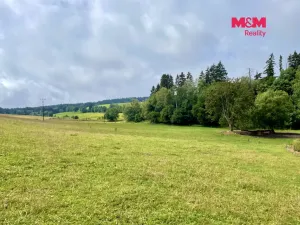 Prodej louky, Bartošovice v Orlických horách, 22170 m2