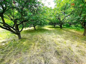Prodej rodinného domu, Načeradec, 85 m2