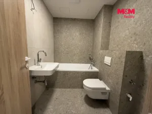 Pronájem bytu 1+kk, Brandýs nad Labem-Stará Boleslav - Brandýs nad Labem, Dřevčická, 41 m2