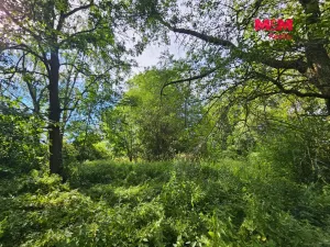 Prodej pozemku pro bydlení, Toužim - Kojšovice, 18630 m2