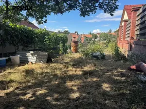 Prodej vinného sklepa, Valtice, 38 m2