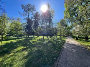 Pronájem bytu 2+1, Lovosice, Sady pionýrů, 54 m2