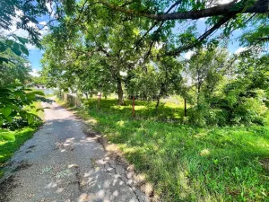 Prodej pozemku, Zadní Střítež, 1357 m2