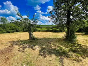 Prodej pozemku, Zadní Střítež, 1357 m2