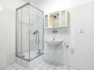 Prodej bytu 2+kk, Dolní Břežany, Za Sídlištěm, 58 m2
