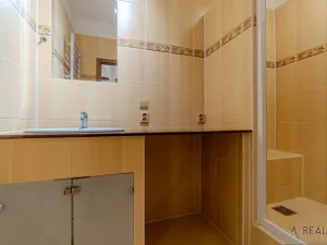 Pronájem bytu 2+1, Ostrava, Slavíkova, 52 m2